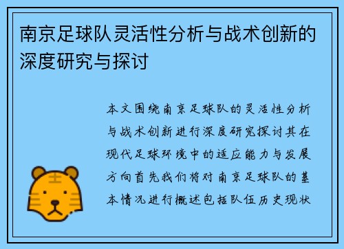 南京足球队灵活性分析与战术创新的深度研究与探讨
