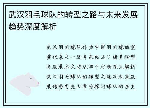 武汉羽毛球队的转型之路与未来发展趋势深度解析